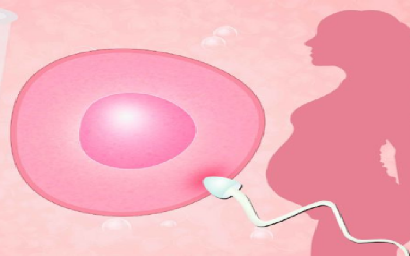 福州捐卵助孕机构，附捐卵试管婴儿医院推荐！